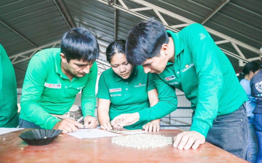 DEVIDA CAPACITA A PROFESIONALES PARA MEJORAR CALIDAD DEL CAFÉ EN EL VRAEM