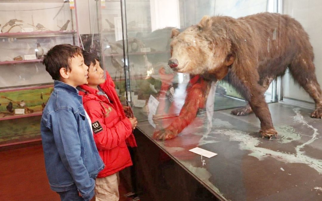 REAPERTURAN CINCO SALAS DEL MUSEO ANTROPOLÓGICO DE LA CULTURA ANDINA EN LA UNIVERSIDAD NACIONAL DEL CENTRO DEL PERÚ