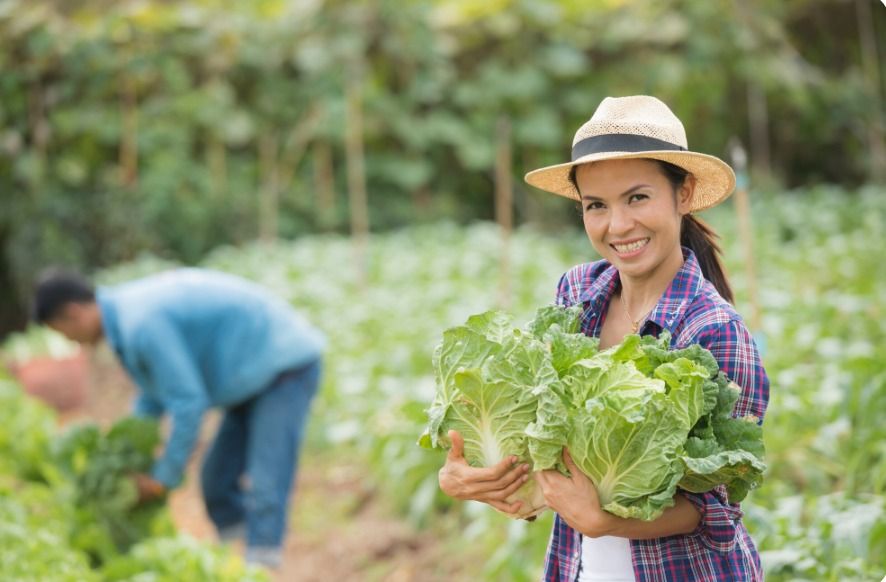 CRÉDITOS DE ACTIVO FIJO IMPULSAN LA PRODUCTIVIDAD AGRARIA EN JUNÍN