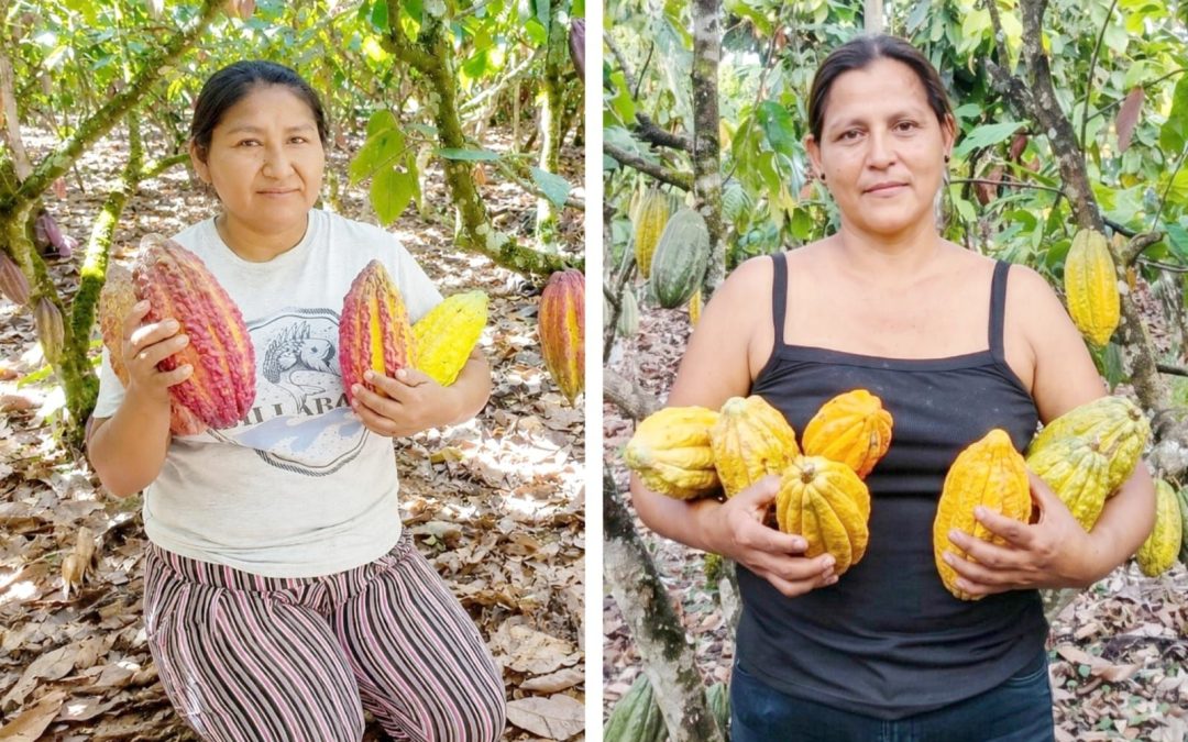 CACAOTEROS DEL VIZCATÁN DEL ENE GANAN LOS DOS PRIMEROS LUGARES EN CONCURSO REGIONAL DE CACAO