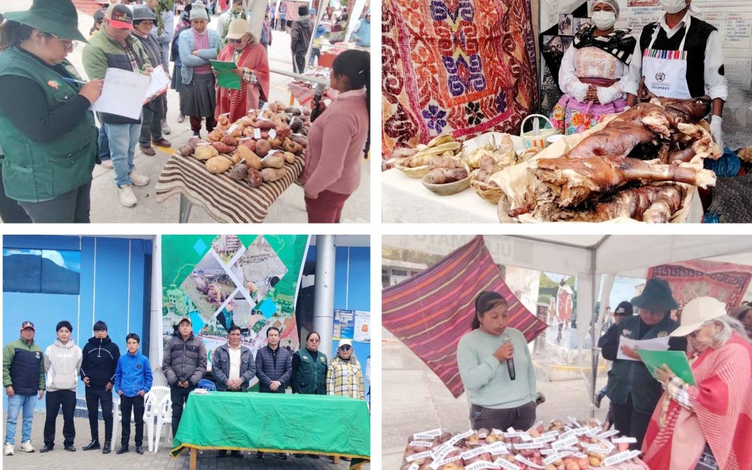 ULCUMAYO CELEBRÓ EL PRIMER FESTIVAL DEL RELLENO DE CHANCHO Y EL DÍA NACIONAL DE LA PAPA