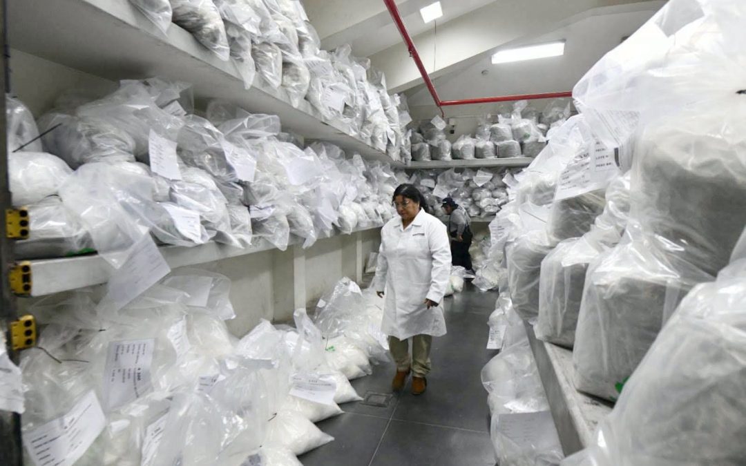 INCINERAN DE MÁS DE NUEVE TONELADAS DE DROGAS DECOMISADAS EN OPERATIVOS