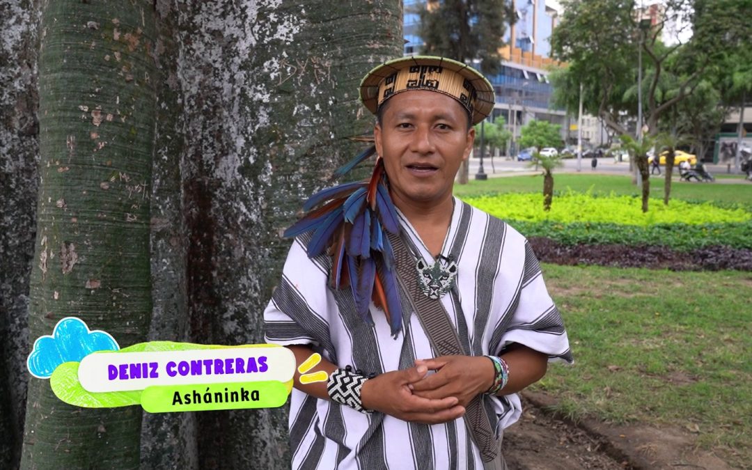 IRTP lanza microprograma “Aprendiendo en lenguas originarias” por Canal IPe